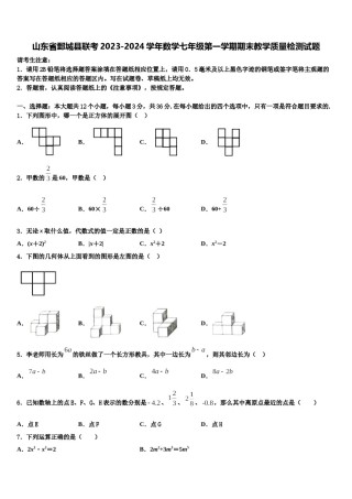山东省鄄城县联考2023-2024学年数学七年级第一学期期末教学质量检测试题含解析.doc