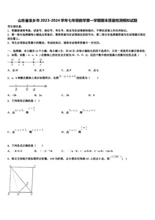 山东省金乡市2023-2024学年七年级数学第一学期期末质量检测模拟试题含解析.doc