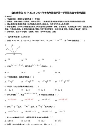 山东省青岛39中2023-2024学年七年级数学第一学期期末统考模拟试题含解析.doc
