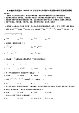 山东省青岛即墨市2023-2024学年数学七年级第一学期期末教学质量检测试题含解析.doc