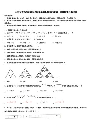 山东省青岛市2023-2024学年七年级数学第一学期期末经典试题含解析.doc