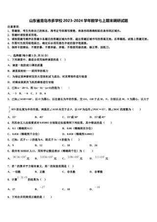山东省青岛市多学校2023-2024学年数学七上期末调研试题含解析.doc