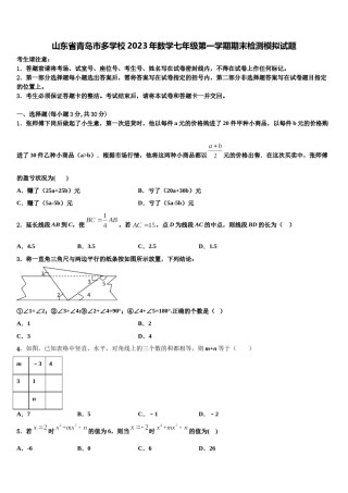 山东省青岛市多学校2023年数学七年级第一学期期末检测模拟试题含解析.doc
