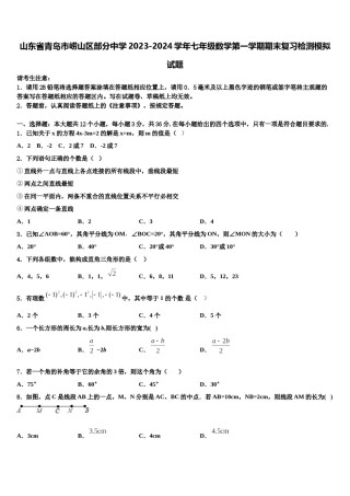 山东省青岛市崂山区部分中学2023-2024学年七年级数学第一学期期末复习检测模拟试题含解析.doc