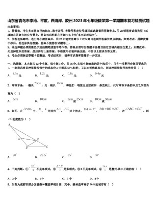 山东省青岛市李沧、平度、西海岸、胶州2023年七年级数学第一学期期末复习检测试题含解析.doc
