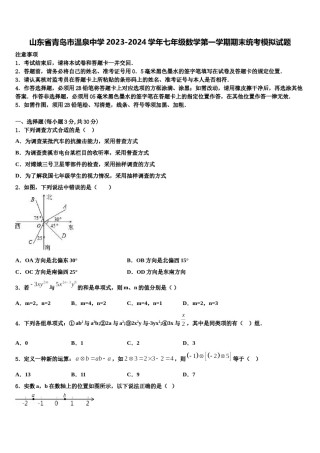 山东省青岛市温泉中学2023-2024学年七年级数学第一学期期末统考模拟试题含解析.doc