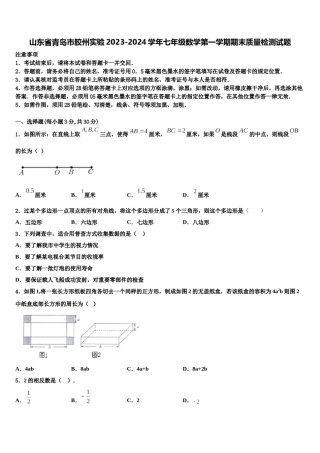 山东省青岛市胶州实验2023-2024学年七年级数学第一学期期末质量检测试题含解析.doc