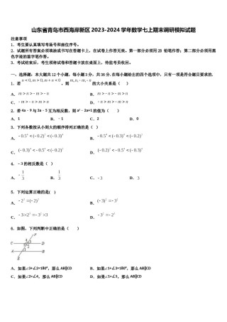 山东省青岛市西海岸新区2023-2024学年数学七上期末调研模拟试题含解析.doc