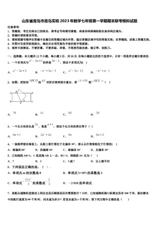 山东省青岛市青岛实验2023年数学七年级第一学期期末联考模拟试题含解析.doc