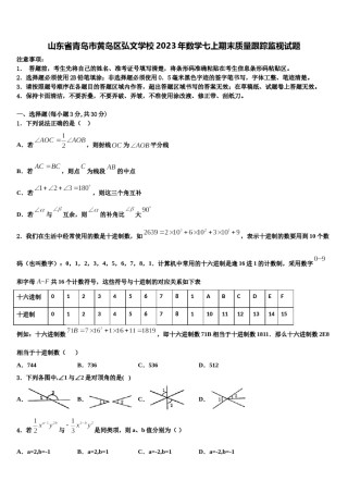 山东省青岛市黄岛区弘文学校2023年数学七上期末质量跟踪监视试题含解析.doc