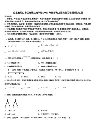 山东省龙口市兰高镇兰高学校2023年数学七上期末复习检测模拟试题含解析.doc