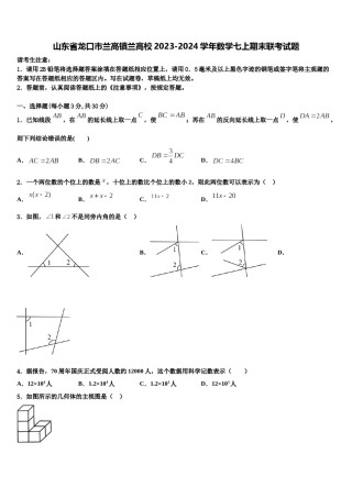 山东省龙口市兰高镇兰高校2023-2024学年数学七上期末联考试题含解析.doc