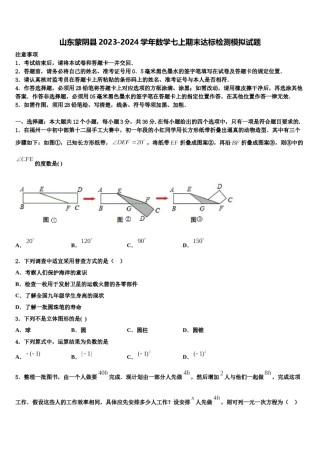 山东蒙阴县2023-2024学年数学七上期末达标检测模拟试题含解析.doc