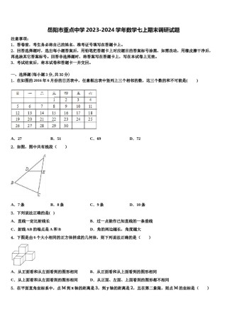 岳阳市重点中学2023-2024学年数学七上期末调研试题含解析.doc