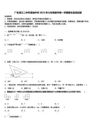 广东湛江二中学港城中学2023年七年级数学第一学期期末监测试题含解析.doc