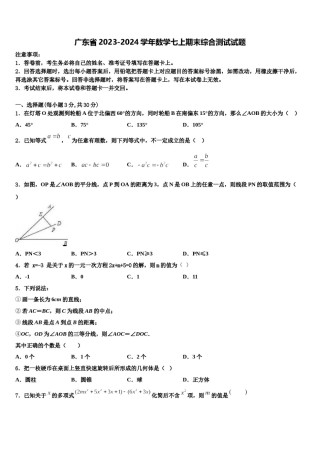 广东省2023-2024学年数学七上期末综合测试试题含解析.doc