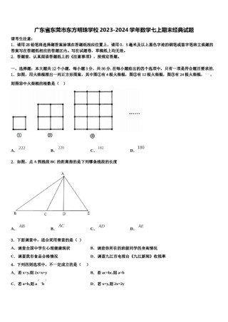 广东省东莞市东方明珠学校2023-2024学年数学七上期末经典试题含解析.doc