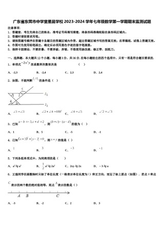 广东省东莞市中学堂星晨学校2023-2024学年七年级数学第一学期期末监测试题含解析.doc