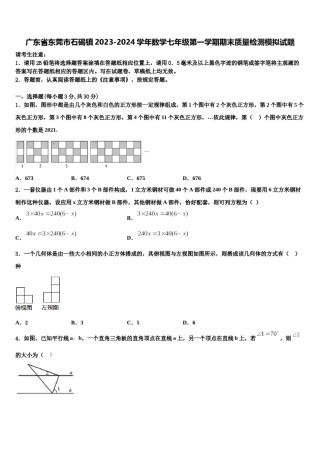 广东省东莞市石碣镇2023-2024学年数学七年级第一学期期末质量检测模拟试题含解析.doc