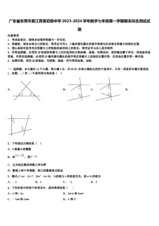 广东省东莞市黄江育英初级中学2023-2024学年数学七年级第一学期期末综合测试试题含解析.doc