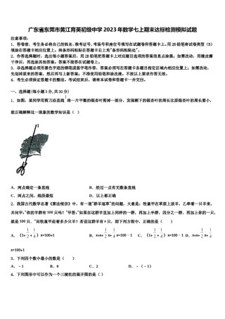 广东省东莞市黄江育英初级中学2023年数学七上期末达标检测模拟试题含解析.doc