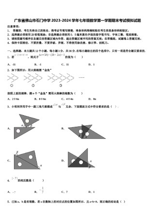 广东省佛山市石门中学2023-2024学年七年级数学第一学期期末考试模拟试题含解析.doc