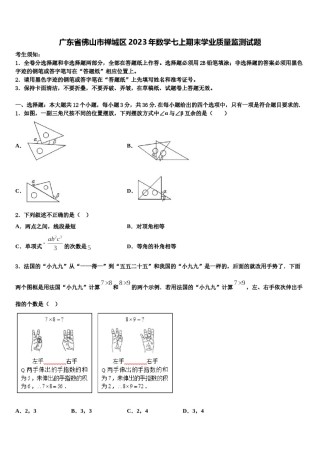 广东省佛山市禅城区2023年数学七上期末学业质量监测试题含解析.doc