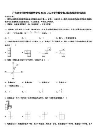 广东省华师附中新世界学校2023-2024学年数学七上期末检测模拟试题含解析.doc