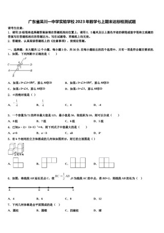 广东省吴川一中学实验学校2023年数学七上期末达标检测试题含解析.doc