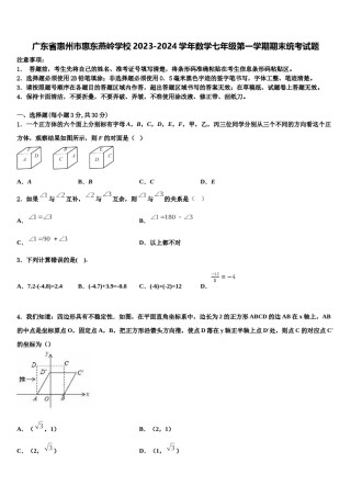 广东省惠州市惠东燕岭学校2023-2024学年数学七年级第一学期期末统考试题含解析.doc