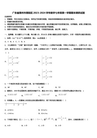 广东省惠州市惠阳区2023-2024学年数学七年级第一学期期末调研试题含解析.doc