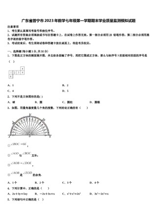 广东省普宁市2023年数学七年级第一学期期末学业质量监测模拟试题含解析.doc