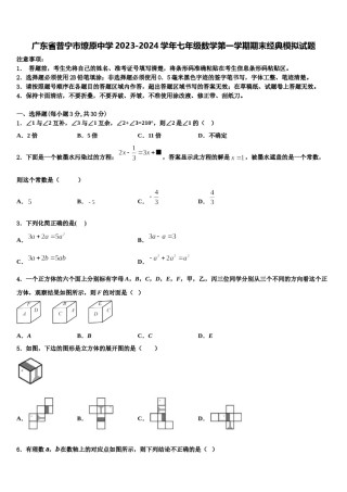 广东省普宁市燎原中学2023-2024学年七年级数学第一学期期末经典模拟试题含解析.doc