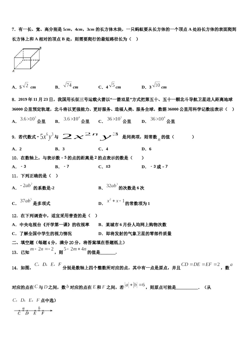 广东省汕头市潮南区博崇实验学校2023-2024学年数学七上期末达标测试试题含解析.doc_第2页
