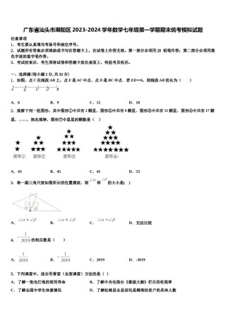 广东省汕头市潮阳区2023-2024学年数学七年级第一学期期末统考模拟试题含解析.doc
