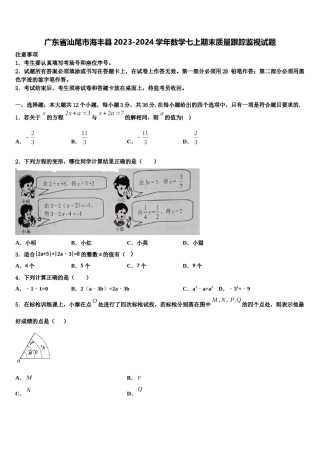 广东省汕尾市海丰县2023-2024学年数学七上期末质量跟踪监视试题含解析.doc