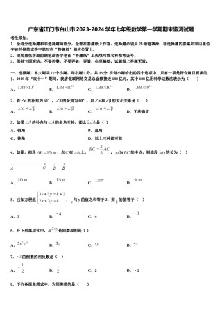 广东省江门市台山市2023-2024学年七年级数学第一学期期末监测试题含解析.doc