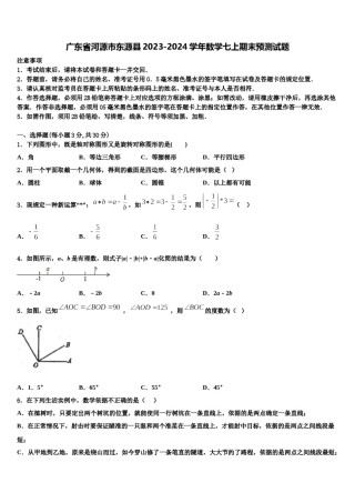 广东省河源市东源县2023-2024学年数学七上期末预测试题含解析.doc