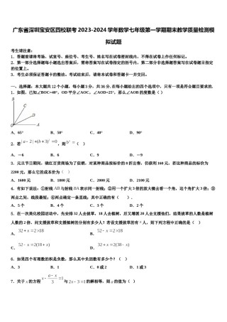 广东省深圳宝安区四校联考2023-2024学年数学七年级第一学期期末教学质量检测模拟试题含解析.doc