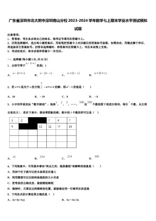 广东省深圳市北大附中深圳南山分校2023-2024学年数学七上期末学业水平测试模拟试题含解析.doc
