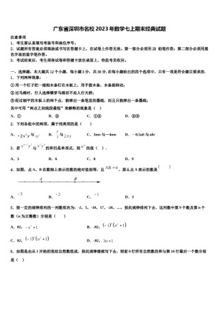广东省深圳市名校2023年数学七上期末经典试题含解析.doc