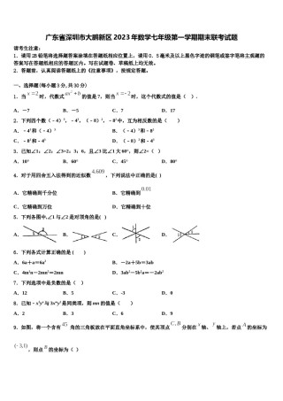 广东省深圳市大鹏新区2023年数学七年级第一学期期末联考试题含解析.doc