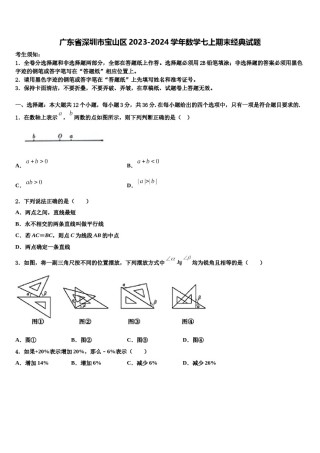 广东省深圳市宝山区2023-2024学年数学七上期末经典试题含解析.doc