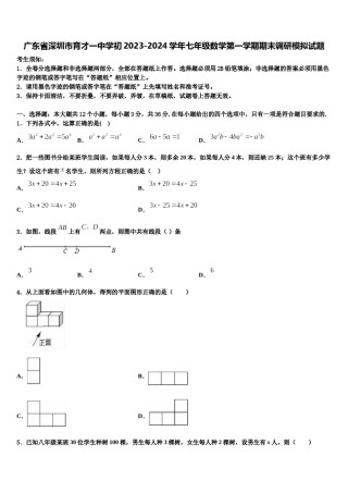 广东省深圳市育才一中学初2023-2024学年七年级数学第一学期期末调研模拟试题含解析.doc