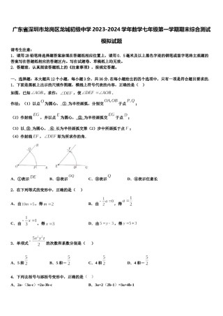 广东省深圳市龙岗区龙城初级中学2023-2024学年数学七年级第一学期期末综合测试模拟试题含解析.doc
