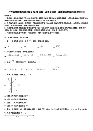 广东省英德市市区2023-2024学年七年级数学第一学期期末教学质量检测试题含解析.doc