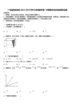 广东省茂名地区2023-2024学年七年级数学第一学期期末综合测试模拟试题含解析.doc
