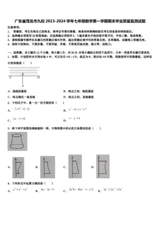 广东省茂名市九校2023-2024学年七年级数学第一学期期末学业质量监测试题含解析.doc