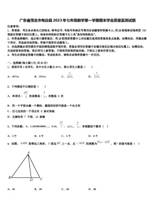 广东省茂名市电白县2023年七年级数学第一学期期末学业质量监测试题含解析.doc