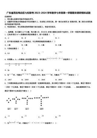 广东省茂名电白区七校联考2023-2024学年数学七年级第一学期期末调研模拟试题含解析.doc